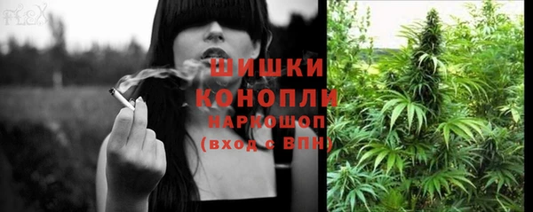 PSILOCYBIN Богородицк